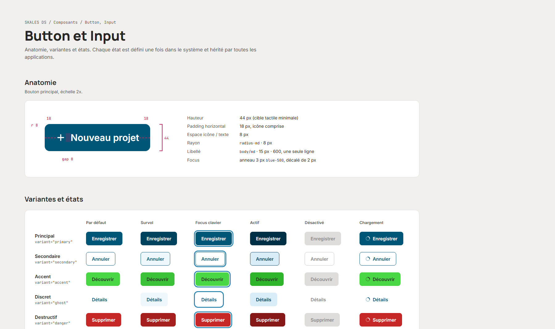 Planche de design : Button et Input